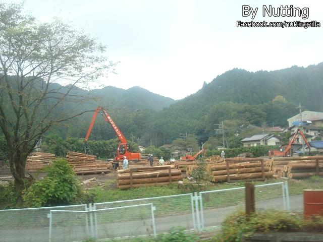 DSC03802.JPG